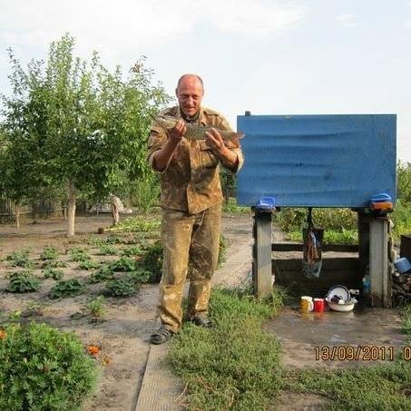 Александр Архипов