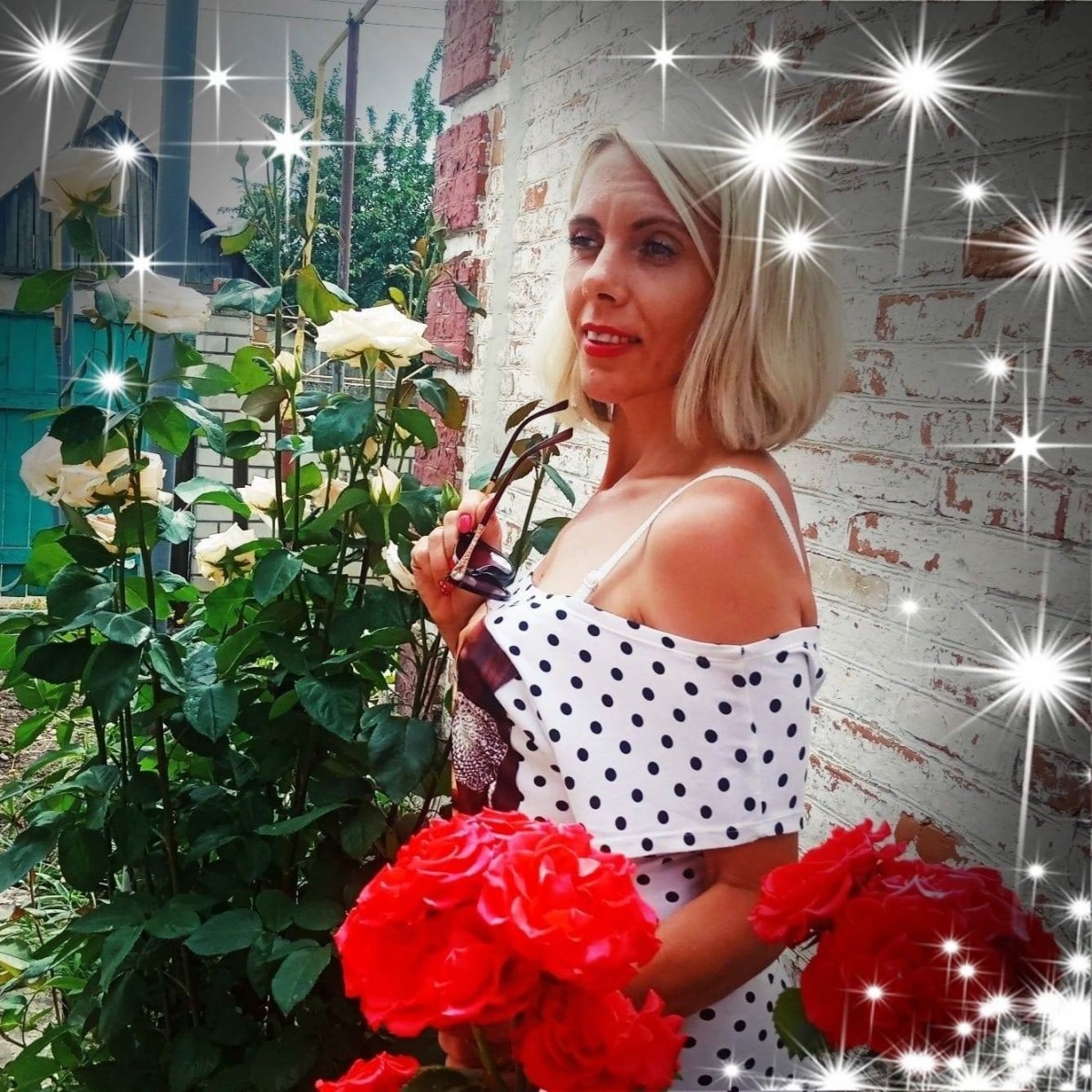 Stella Stella