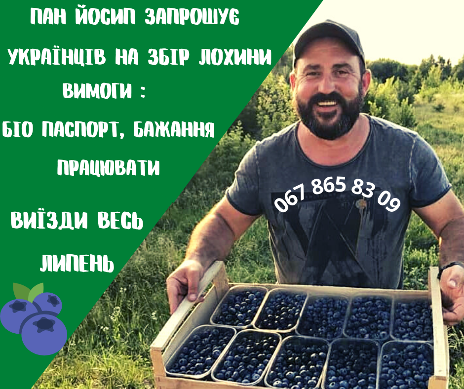 Олег Work Life