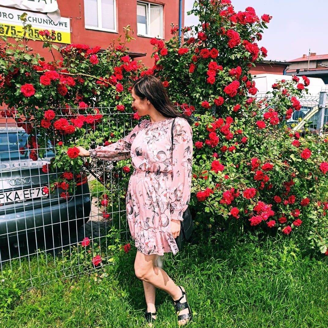 Alina Shypula