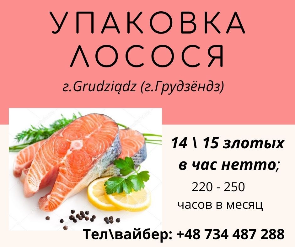 Rabota PL