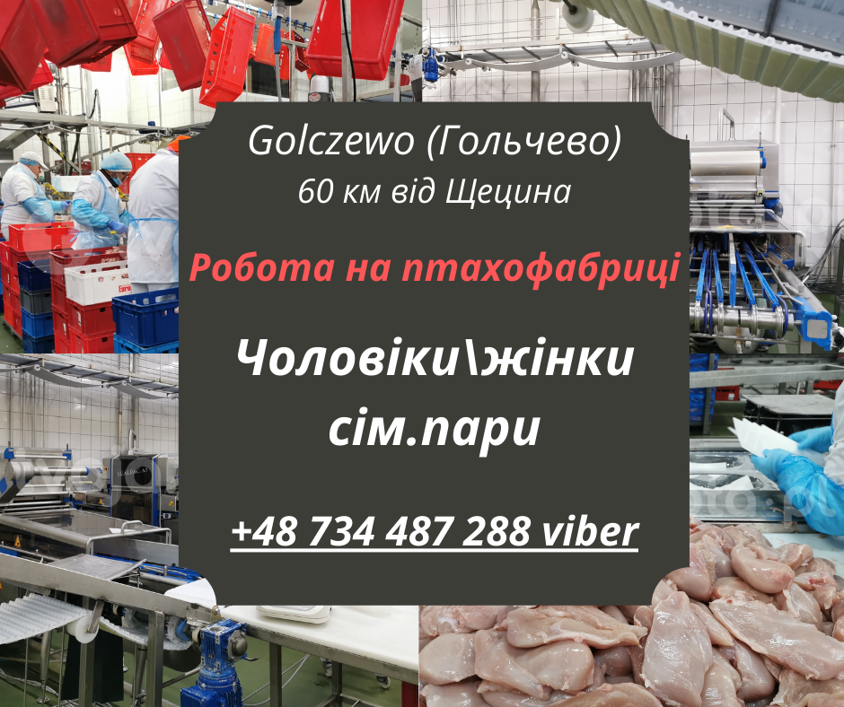 Rabota PL