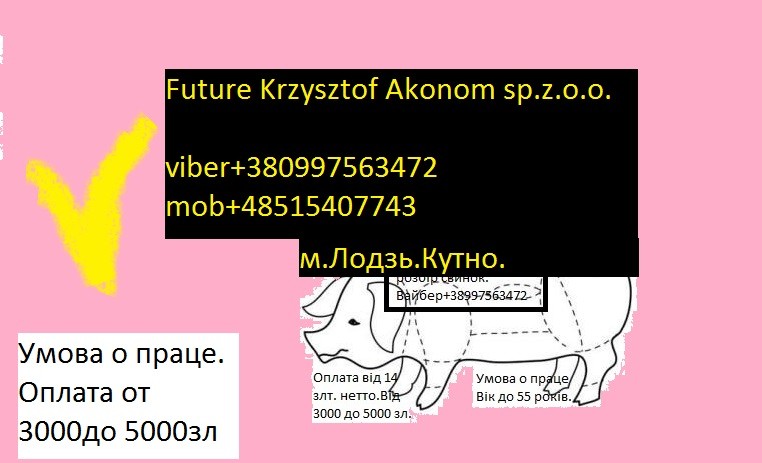 Krzysztof Akonom Future