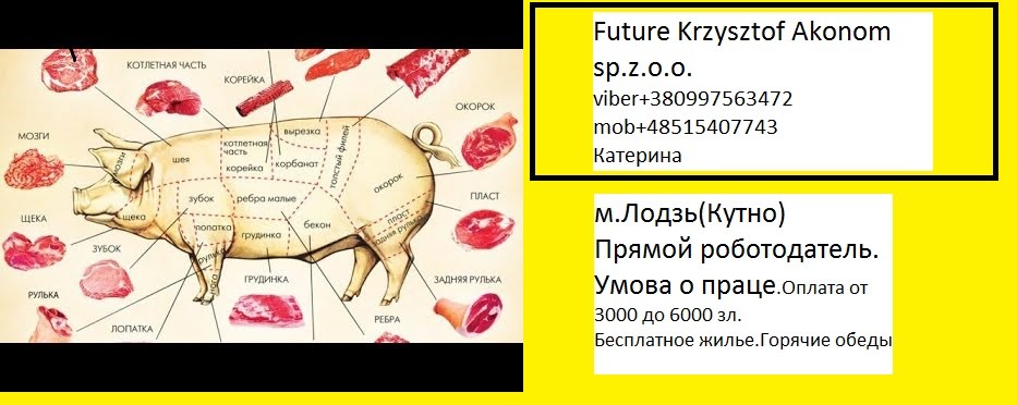 Krzysztof Akonom Future