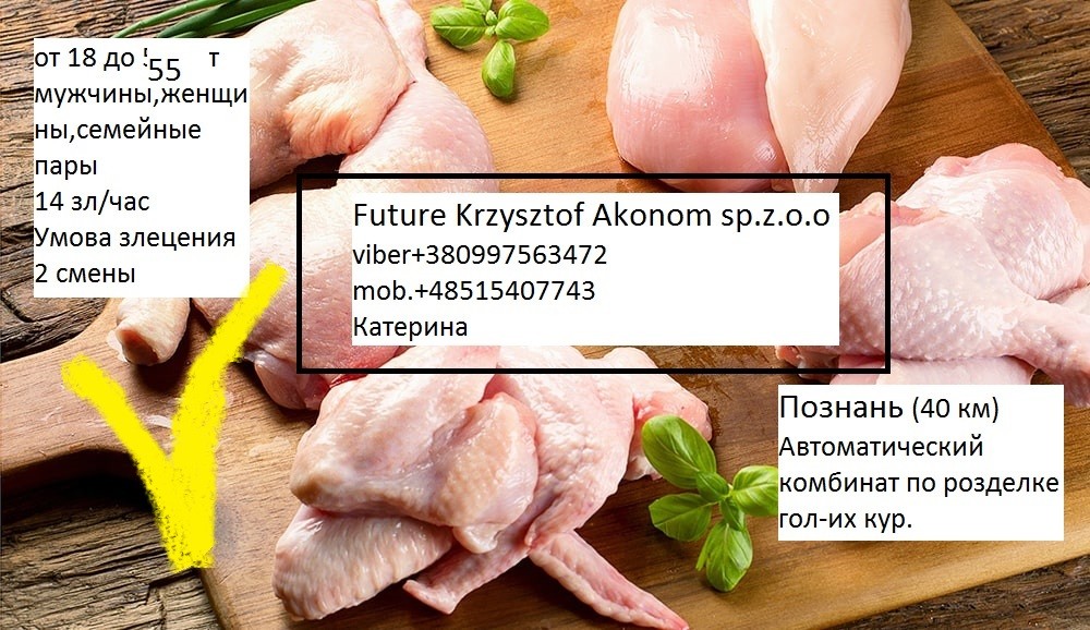 Krzysztof Akonom Future