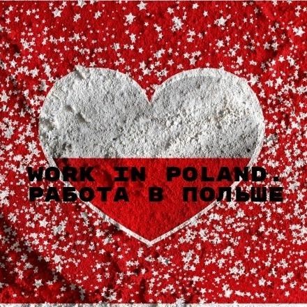 Dmitry Polskawork