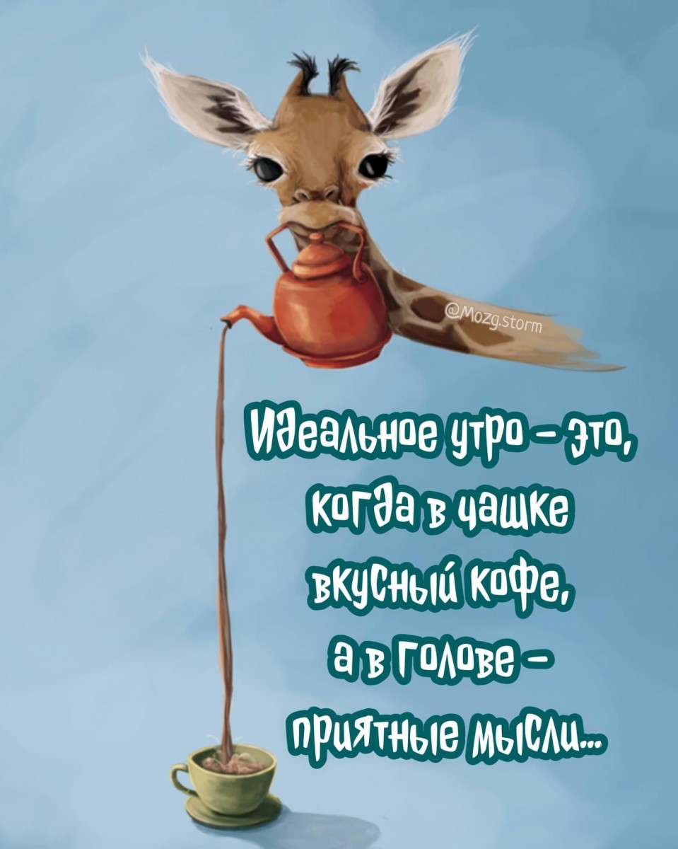 Dovga 