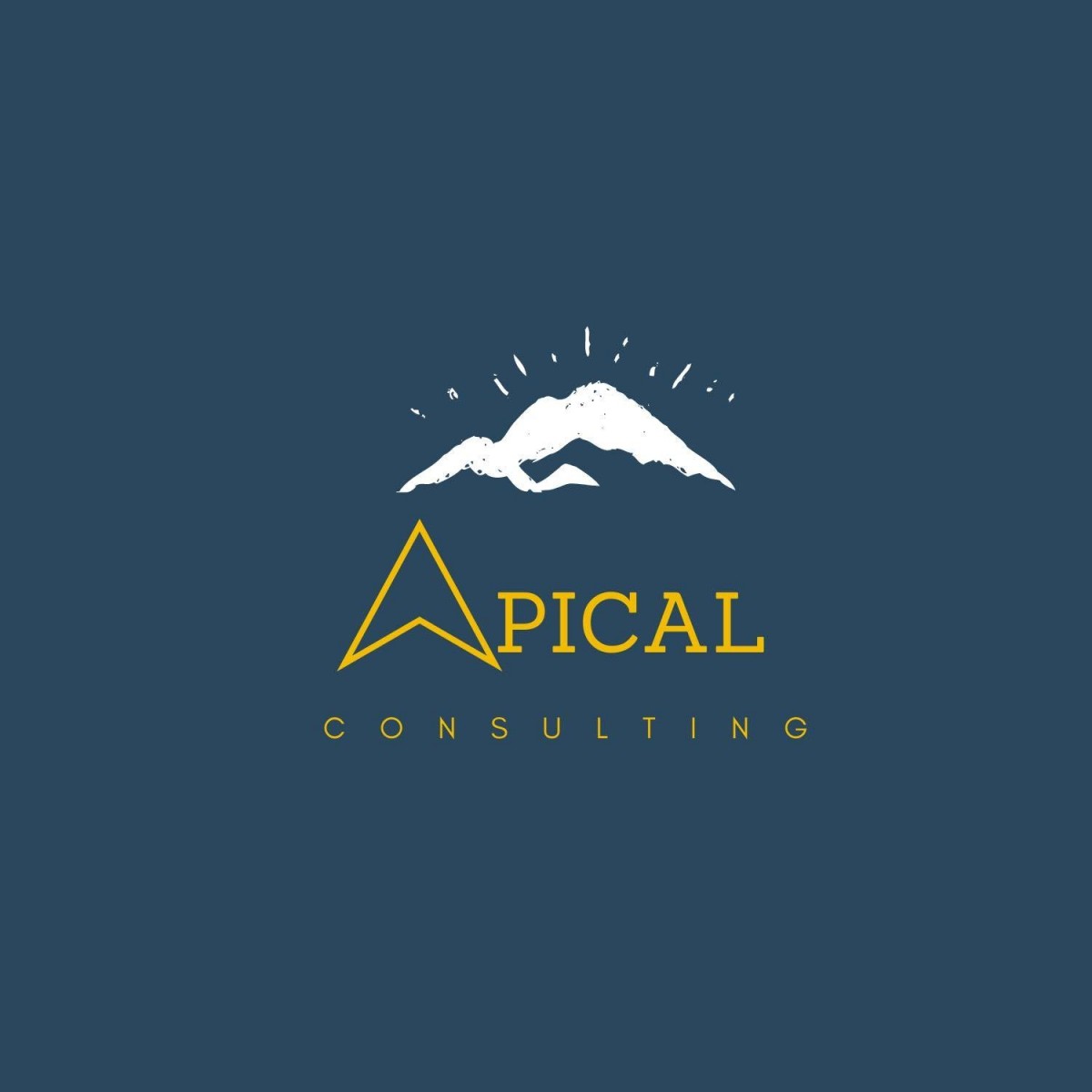 Apical Cons Georgia
