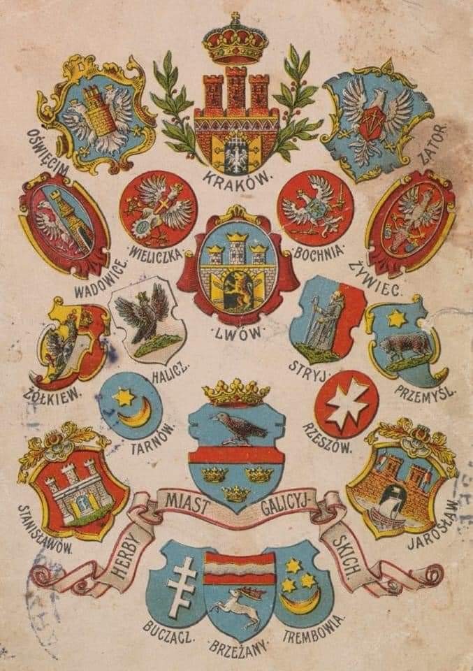 Piotr999 