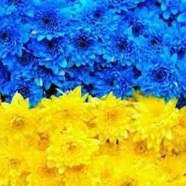 Олена Хомік