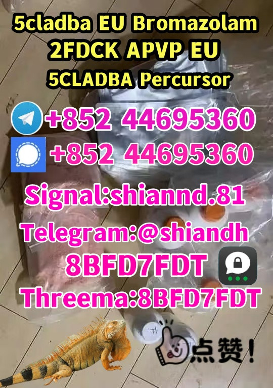 shasuhy 