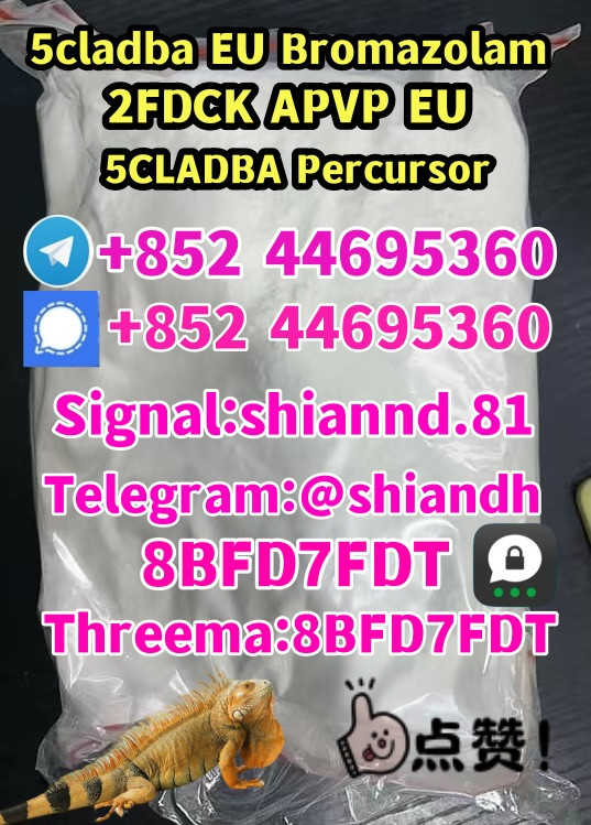 shasuhy 